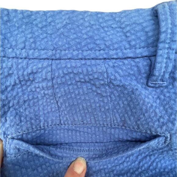 Talbots Girlfriend Chino Blue Seersucker Capri Pants Woman's Size 10P Button/Zip - Picture 3 of 11
